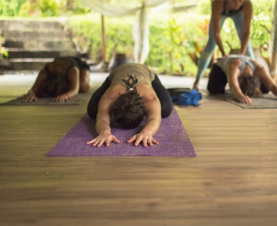 Wellness, Yoga & Meditation Retreats in Manali and the Himalayas