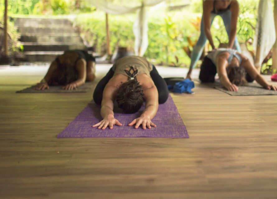 Wellness, Yoga & Meditation Retreats in Manali and the Himalayas